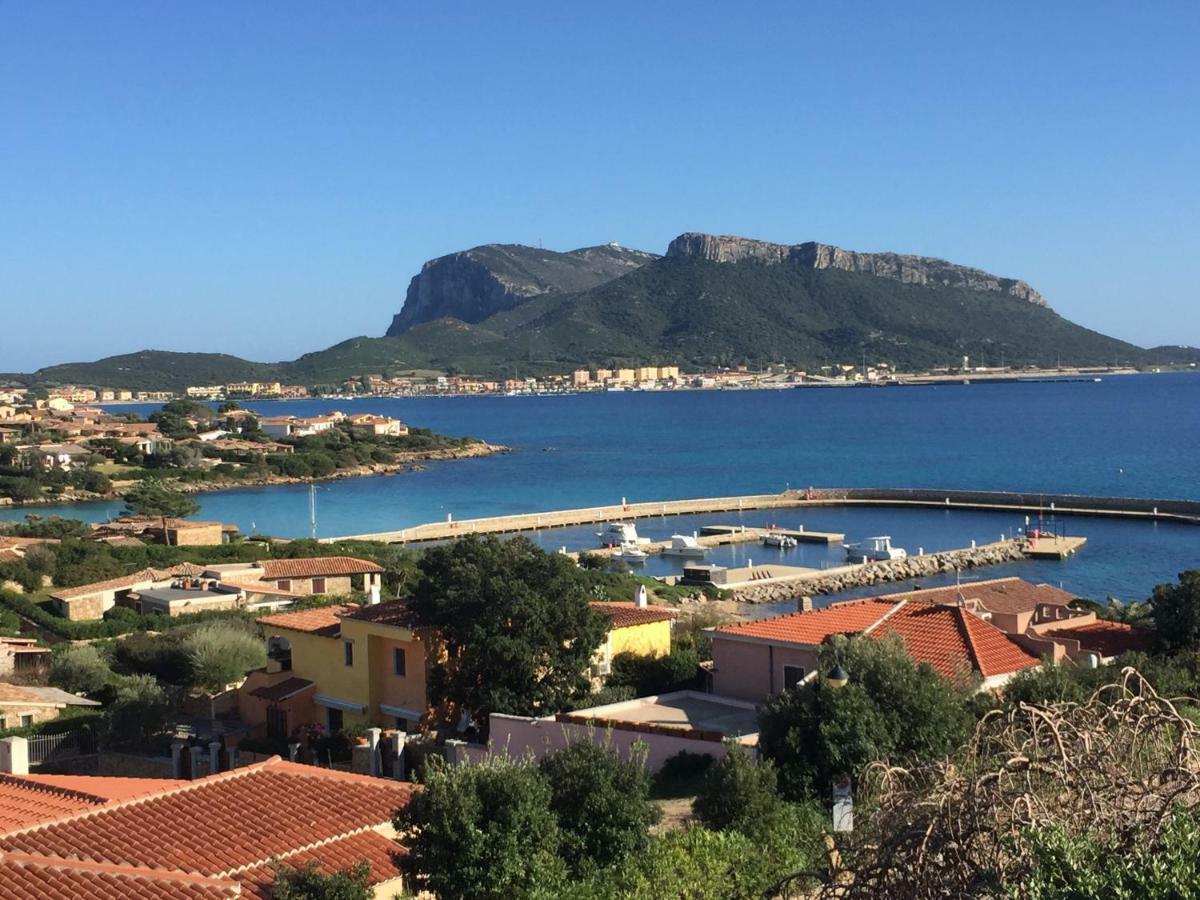 Blue Portrait House Apartment Golfo Aranci Luaran gambar